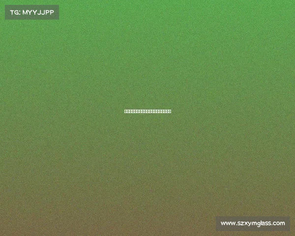 桂域竞芒：中奥电竞领航者擘画产业新篇章